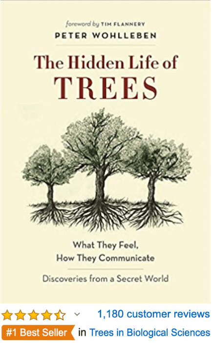 The Hidden Life of Trees Peter Wohlleben