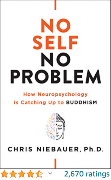 No Self No Problem Chris Niebauer Ph.D.
