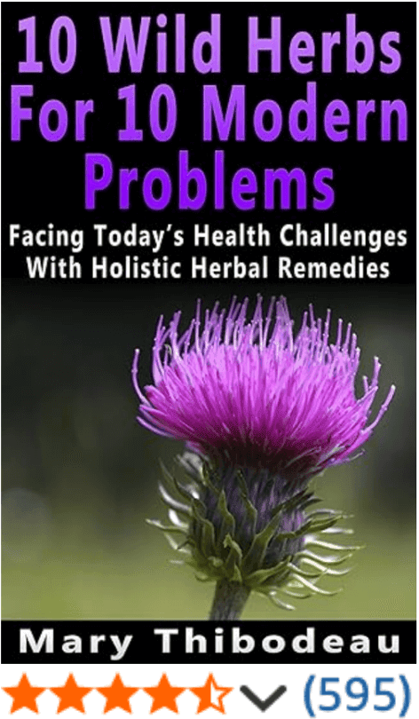 Ten Wild Herbs For Ten Modern Problems Mary Thibodeau